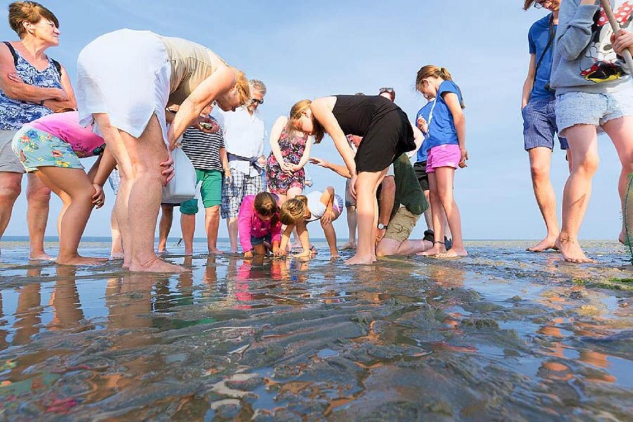 Chalet Op Camping Lauwersoog Met 3 Slaapkamers En Vaatwasser - Joycasa ภายนอก รูปภาพ