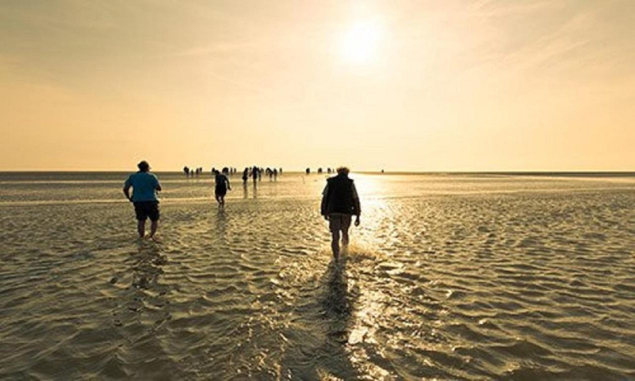 Chalet Op Camping Lauwersoog Met 3 Slaapkamers En Vaatwasser - Joycasa ภายนอก รูปภาพ
